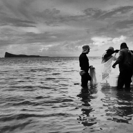 Pêche à pied devant Coin de mire.