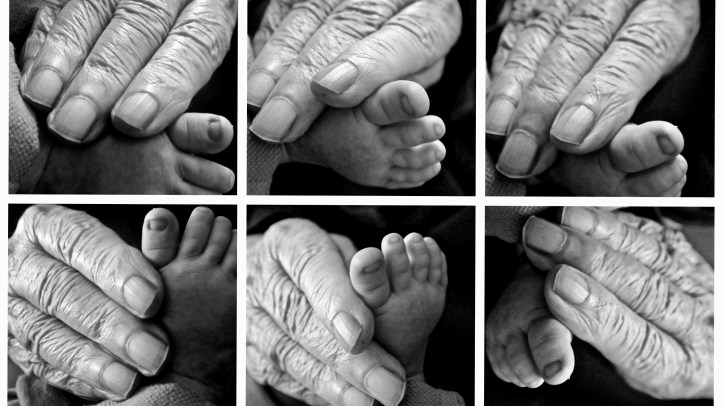 La transmission familale